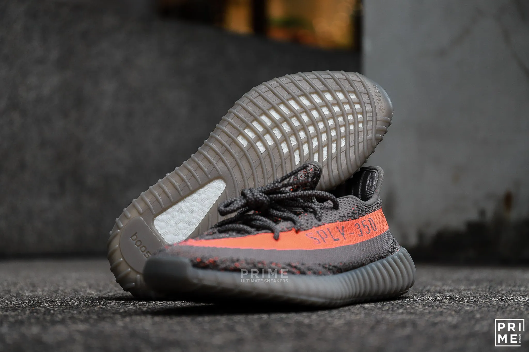 Adidas Yeezy 350 Beluga Reflective (GW1229)