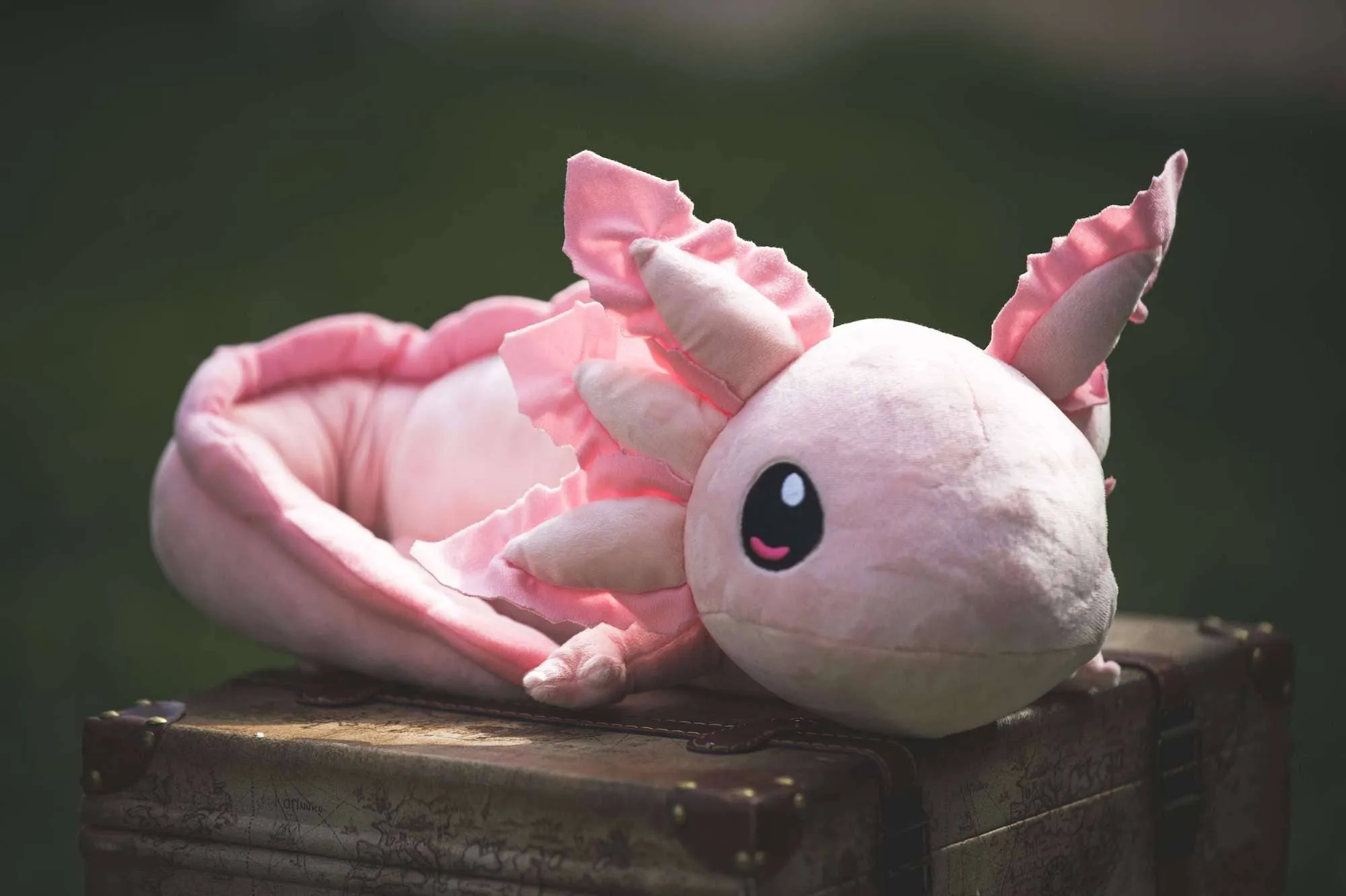 Axol & Friends Axolotl Weighted Plush