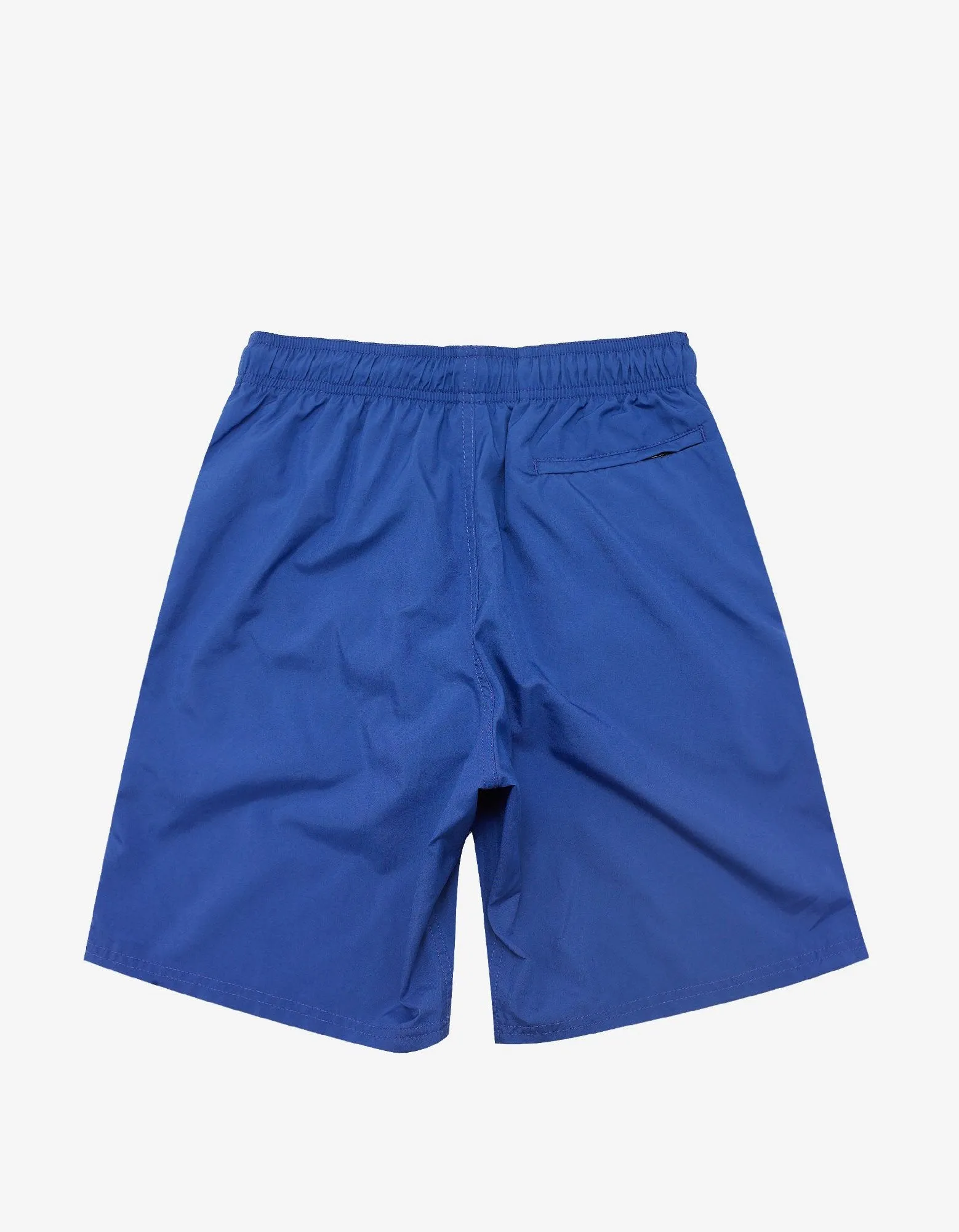 Blue Classic Logo Print Swim Shorts