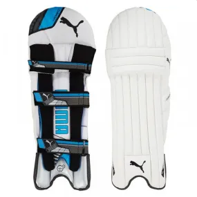 Puma EvoPower 2 Batting Pads 2017